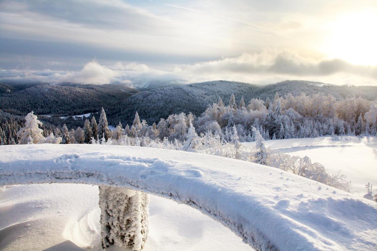 Chalet Des Rochires Gérardmer Екстериор снимка